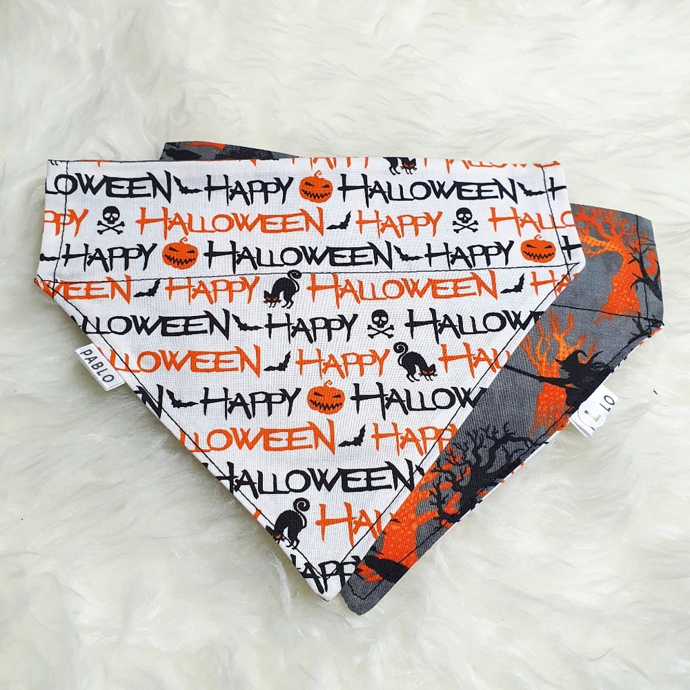 🐶 5 for $15 * Pablo Happy Halloween/Witch Reversible Over The Collar Dog